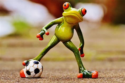 Fußball frosch